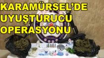 Karamürsel'de Uyuşturucu Operasyonu