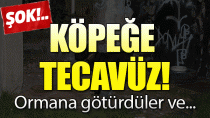 Köpeğe Tecavüz İddiası 2 Gözaltı