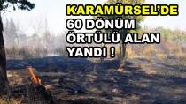 Karamürsel'de 60 Dönüm Alan Yandı
