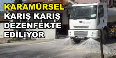 164255_karamurseldezenfekte
