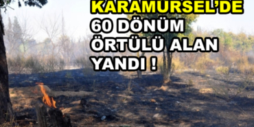 185051_karamursel-yangin