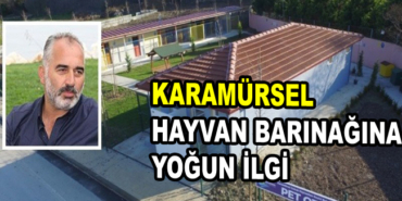 163500_karamurselhayvanbarinak