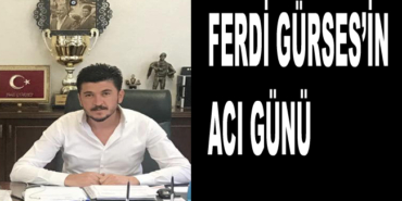 081859_ferdi