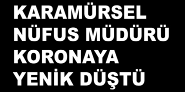 181238_korona