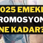 emeklipromosyon2025-1738492581